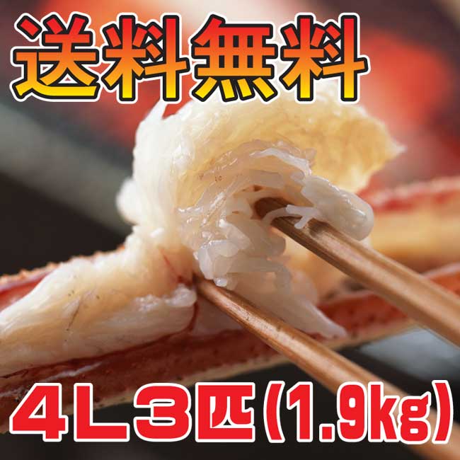 【送料無料】かにすき用ズワイガニ。たっぷり6人前（1.9kg）[冷凍][ずわい蟹][調理4L3匹だしなし]かにすき、焼きカニでどうぞ♪身入りもばっちりのズワイ蟹！