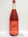 ブラッドオレンジ梅酒【 天吹アポロン 】 1.8L/佐賀県 天吹酒造【 917 】【 梅酒 】【 お中元 贈り物 ギフト プレゼント 】