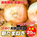 【100箱限定大セール!最安値挑戦!1kg=149円】和歌山...