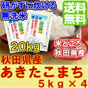 【新米 29年】★リピーター続出!根強い人気★無洗