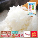 米 5kg 送料無料 無洗米 令和元年産 秋田あきたこまち5kg