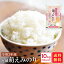 米 10kg 送料無料 令和2年産 宮城萌えみのり(5kg×2)10kg【33】 3,080円
