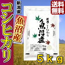 【米 特a 常連】29年産 新潟県魚沼産コシヒカリ5kg\誰...