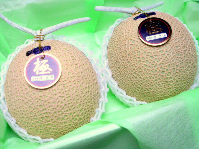 󥢥ɥХŲ 饦()[2경Ȣ]