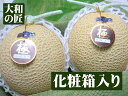 【あす楽対応★】静岡県産 特選クラウンメロン[2個