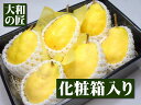 【12月上旬以降予定★】新潟県産 ル・レクチェ[中玉6個入り...