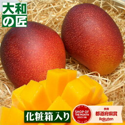 【<strong>母の日</strong>間に合う★】宮崎県産 お試し完熟アップル<strong>マンゴー</strong>[中玉2個入り箱]【売れ筋】 フルーツ 果物 <strong>マンゴー</strong> 完熟 高級 <strong>母の日</strong> 母 義母 入学 お供え 御供 ギフト 贈り物 プレゼント グルメ