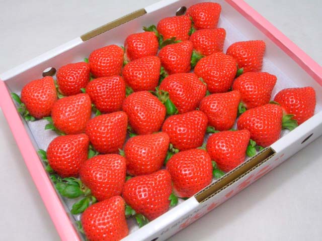 ڳŷ󥭥󥰾ϢTV仨ʤɤ!!ץߥ।縩 ⤤[28γ경Ȣ]