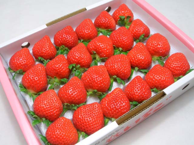 ڳŷ󥭥󥰾ϢTV仨ʤɤ!!ץߥ।縩 ⤤[γ24γ경Ȣ]