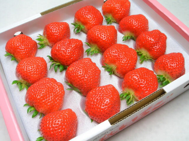 ڳŷ󥭥󥰾ϢTV仨ʤɤ!!ץߥ।縩 ⤤[16γ경Ȣ]