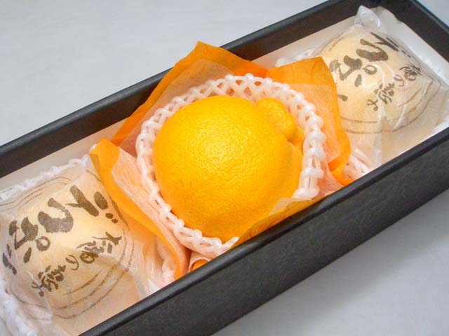 ǯ˸ҥåȴ̢̣٤䤹ȴ!!츩 ǥݥ[3경Ȣ]