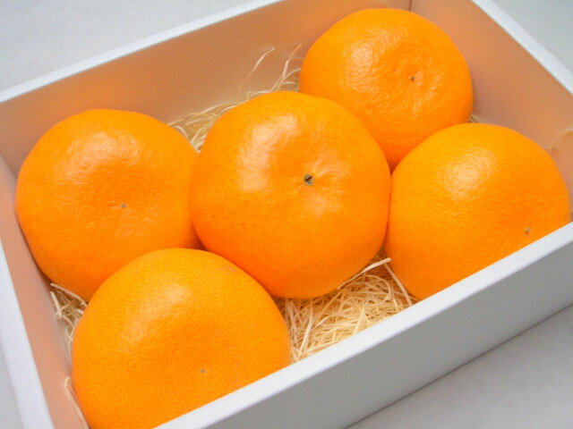 ̵ۡڤʡ۴̣ͤޤäѡ!!츩 Ȥ[5Ȣ]