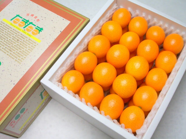 λ⥤!!18ٰʾؤ봰϶ⴻβ!!ܺ긩 ϶ⴻ(󤫤)ޤ[1kg경Ȣ]