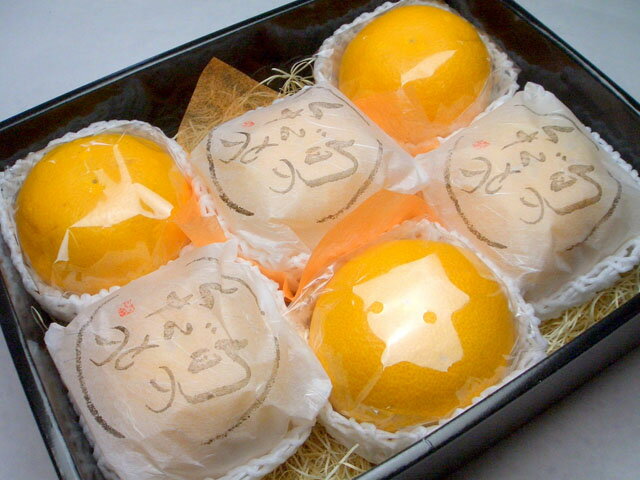 ؤ褦٤Ǥ夲줿βΥϥå²λ ĤȬ(ĤϤä)[6경Ȣ]