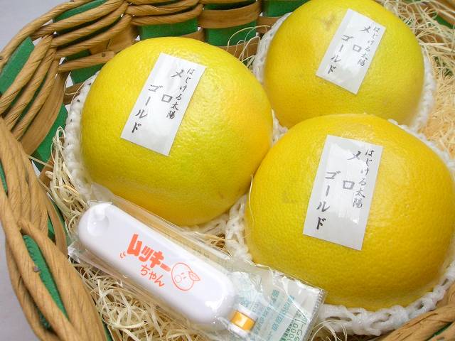 ڥޥ˥åդƤۺǯ͵޾徺紻!!Υϥˤʤ륫ե˥ [3Ȣ]