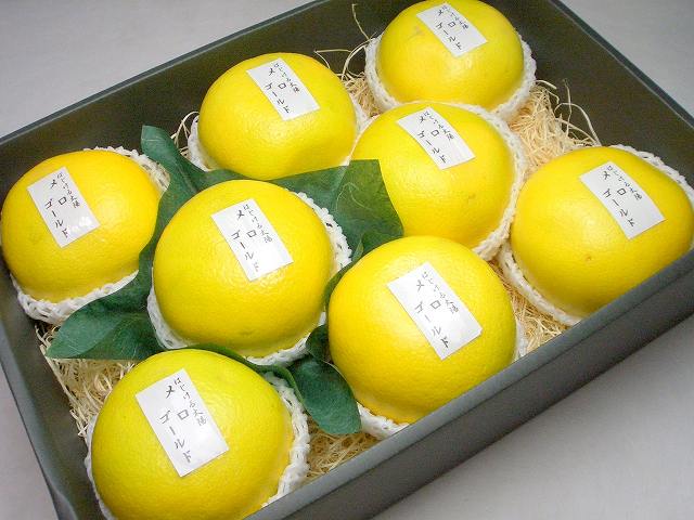 ǯ͵޾徺紻!!Υϥˤʤ륫ե˥ [8경Ȣ]