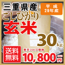 【新米】【H29年産】【玄米】 調整済み 三重県産こしひかり30kg【送料無料】【RCP】