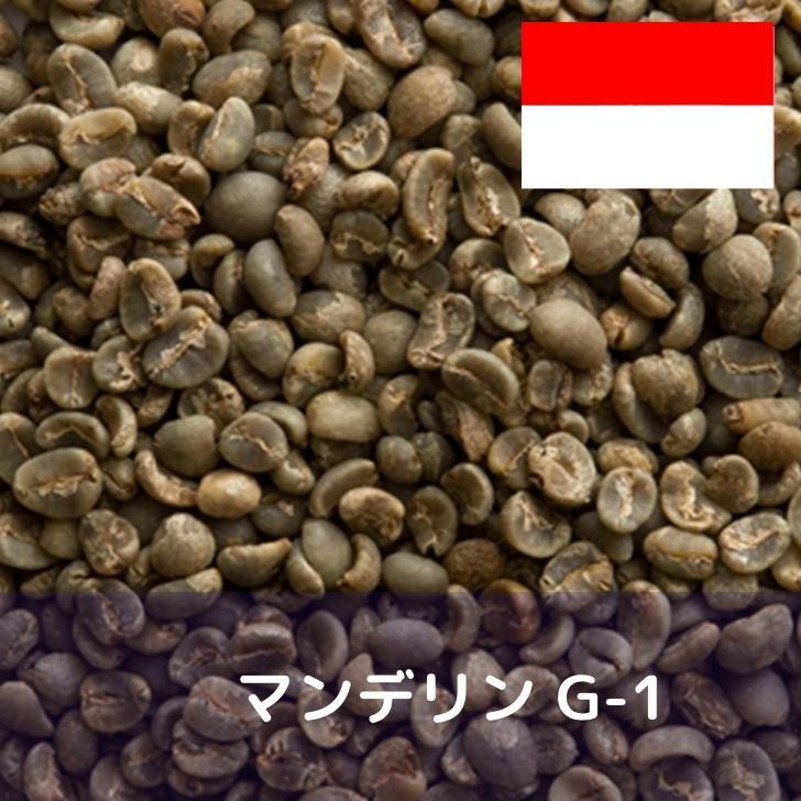 コーヒー<strong>生豆</strong> <strong>マンデリン</strong> G−1 <strong>10kg</strong> 送料無料 コーヒー豆 自家焙煎 ギフト お中元 ドリップ