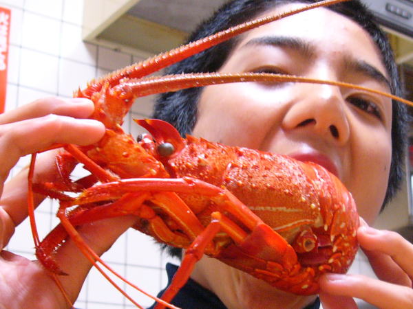 ܥ뤷ƹ˴ݤꤷޤ󤫡Ӥλ̣ͤޤäƤޤ...