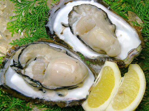 伊勢志摩天然岩牡蠣セット中サイズ10個入夏季期間限定の美味しさ！プリップリの食感！濃厚な旨味に必ず満足して頂けます！