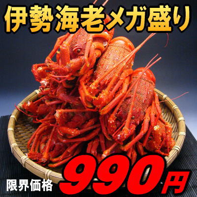 ボイル伊勢海老1尾990円格安だからメガ盛りでどうですか！