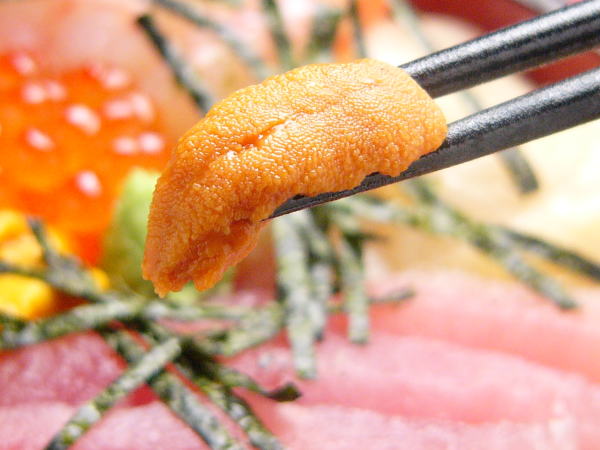 海鮮丼に美味しい！ウニ100gパック入り口の中に広がる甘味、獲れたてをお届けします。