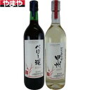 【送料無料】【ギフト品】【代引不可】大和葡萄酒 ベリー瑛甲州ワインセット