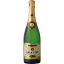 【5,000円以上送料無料】【ケース品】サラ ビベ セミセコ 750ml 12本入り