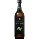 【5,000円以上送料無料】本坊酒造 竜峡梅酒 720ml 14度