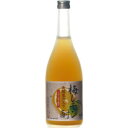 【5,000円以上送料無料】【ケース品】天然果汁入り 梅レモン酎 720ml 7度 12本入り