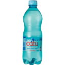 【5,000円以上送料無料】【ケース品】オジュ スパークリング ミネラルウォーター 500ml 24本入り