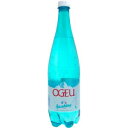 【5,000円以上送料無料】【ケース品】オジュ スパークリング ミネラルウォーター 1000ml 6本入り