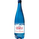 【3,980円以上送料無料】【ケース品】オジュ エクストリーム スパークリングウォーター 500ml 24本入り