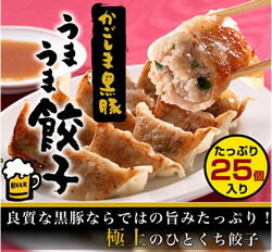 良質な黒豚ならではの旨みたっぷり！極上のひとくち餃子かごしま黒豚うまうま餃子