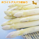 アスパラ ホワイトアスパラガス1kg(S?2L混)【送料無料】【訳あり不揃い】朝採り超みずみずしいホワイトアスパラを産地直送!旬の北海道産ホワイトアスパラガス【5月下旬発送】【指定日不可】