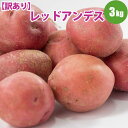 じゃがいも レッドアンデス M/LM混 3kg 希少な 北海道 じゃがいも ジャガイモ 送料無料 珍しい 赤い レッドアンデス アンデスレッド 訳あり お取り寄せ 食べ物 食品 通販 敬老の日