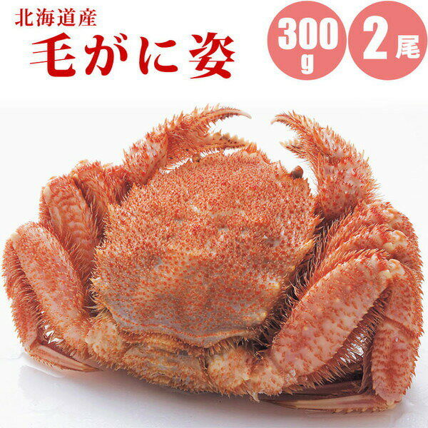 【お中元ギフト】【送料無料】北海道産毛蟹300g×2尾　身入りが良くギフトに最適な毛蟹【かに カニ 蟹】蟹味噌も楽しめる毛ガニなら蟹にうるさい人も満足 お取り寄せに毛蟹【冷凍】