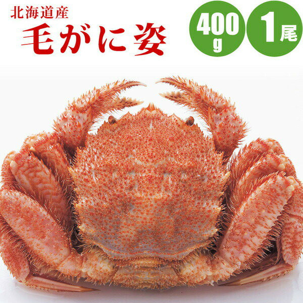 【お中元ギフト】北海道産毛蟹400g×1尾　身入りが良くギフトに最適な毛蟹【かに カニ 蟹】蟹味噌も楽しめる毛ガニなら蟹にうるさい人も満足 お取り寄せに毛蟹【冷凍】