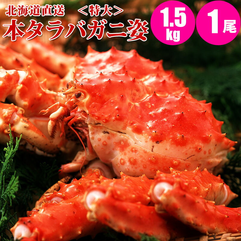 【お中元ギフト】【送料無料】北海道直送本タラバガニ姿1.5kg×1尾カニの王様タラバガニが激安身入りの良いカニを厳選。贈り物に最適な本タラバ蟹タラバガニの格安通販【冷凍】