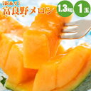 【訳あり メロン】富良野メロン1.3kg×1玉【訳あり 送料無料】お取り寄せに訳ありメロン 赤肉メロン「ふらのメロン」セール価格で特価販売中。北海道メロンを格安で購入【7月上旬発送】