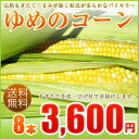とうもろこし ゆめのコーン 8本 とうもろこし 北海道産 朝...