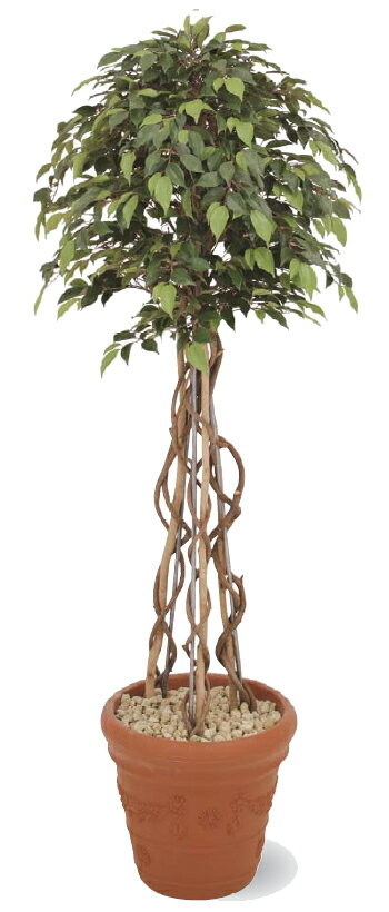 タカショー　グリーンデコ鉢付　観葉植物「ベンジャミントピアリー」1.8m