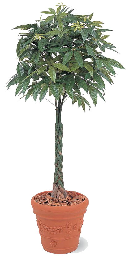 タカショー　グリーンデコ鉢付　観葉植物「パキラ」2.1m