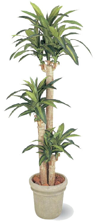 タカショー　グリーンデコ鉢付　観葉植物「ドラセナ　幸福の木」1.7m