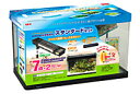 セット水槽。GEX ラピレスRV60 熱帯魚飼育スタンダードセット(60Hz)