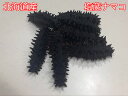 【北海道産】A級品塩蔵なまこ Mサイズ(5〜10g) 約10...