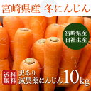 【宮崎産】冬にんじん 訳あり 10kg自社生産 産地直送 減農薬 ニンジン【送料無料】※今