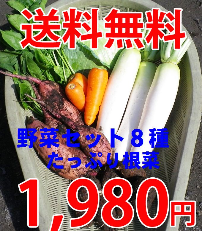 ヤマトの野菜セット　たっぷり根菜＋選べる葉物2種 【安納芋も入ります】 送料無料！九州・宮崎よりお届け