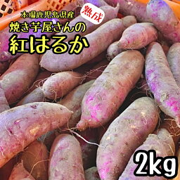 お得！！<strong>2kg</strong> 焼き芋屋さんの熟成芋◎訳あり 紅はるか <strong>2kg</strong> さつまいも 産地直送 鹿児島県産 家庭用 さつま芋 箱 サツマイモ 紅あずま 鳴門金時 <strong>シルクスイート</strong> 安納芋 好きに