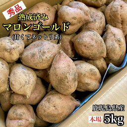 美味しさ最高峰◎とろとろ熟成芋◎秀品 マロンゴールド 選べる【<strong>2kg</strong>・5kg・10kg・20kg】 さつまいも 産地直送 鹿児島県産 家庭用 さつま芋 箱 サツマイモ 紅あずま 鳴門金時 <strong>シルクスイート</strong> 安納芋 好きに